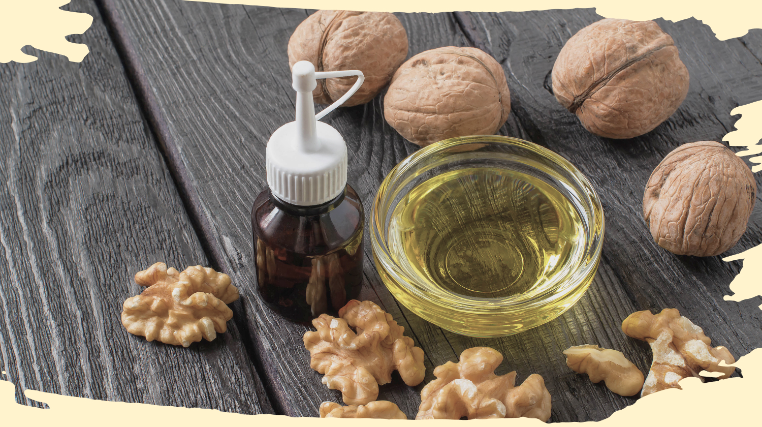 walnut oil benefits|walnut oil benefits|walnut oil benefits|walnut oil benefits