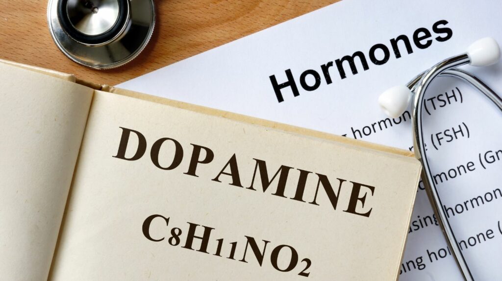 how to increase dopamine